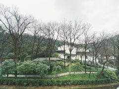 -杭州花家山庄