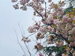 -灞河西岸滨河公园