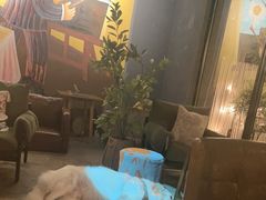 -咖法森林·咖啡  酒吧(天河店)