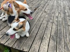 -桤木河湿地公园