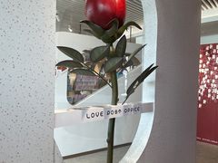 -爱情邮局