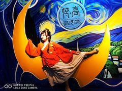 -天津梵高星空艺术馆(天河城旗舰店)
