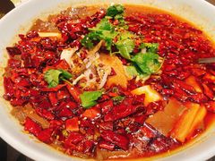 -望乡楼上海菜(日月光店)