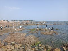 -青岛第二海水浴场