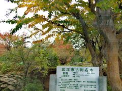 -辛亥革命博物院北区