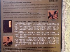-雾凇岛