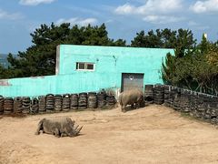 -西霞口神雕山野生动物世界