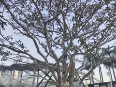 -民盈·国贸城