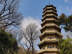 -灵谷景区