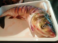 -营信刘罗锅铁锅炖(建华店)