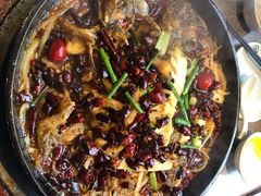 -老板恋上鱼(恒隆广场店)