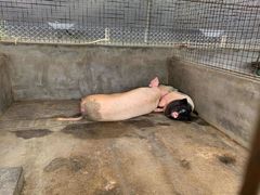 -新地休闲农场