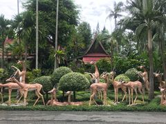 -东芭乐园