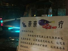 -黄山温泉国际旅游度假区