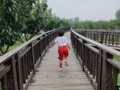 -羊亭河湿地公园