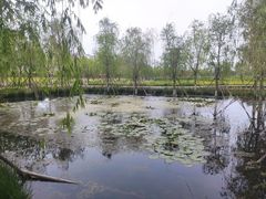 -永定河休闲森林公园