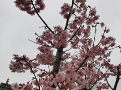 -桂满陇天书(南京德基旗舰店)