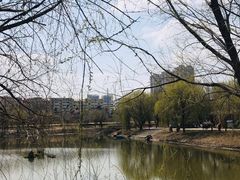 -长白岛森林公园