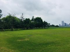 -苏州金鸡湖大酒店