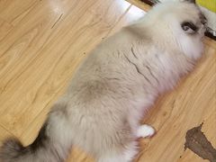 -剧狐剧本杀·月球探案馆(人民广场1号店)