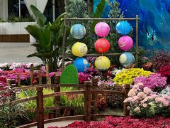 -南山植物园