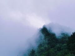 -白草畔自然风景区