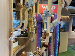 -ZOO COFFEE动物园咖啡(红山森林动物园店)