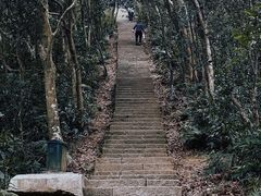 -梧桐山风景名胜区