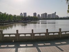 -莲花池公园
