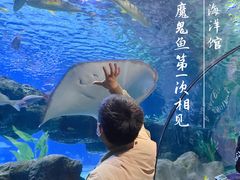 -郑州海洋馆