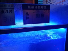 -鱼酷活鱼烤鱼(静安大融城店)