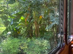 -合肥滨湖国家森林公园