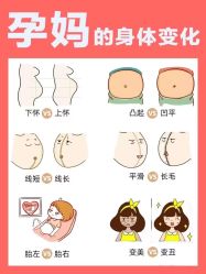 -海豚湾高端月子会所(黄浦店)