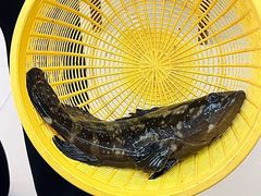 -鑫鸿达·海鲜闽菜热炒小馆(中山路店)