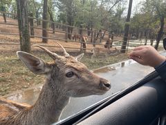 -秦皇岛野生动物园