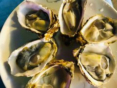 -千岛蚝高压锅生蚝·人参火锅(白云万达店)