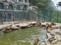 -栾川竹海野生动物园