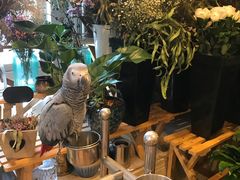 -森野花艺培训·企业团建活动沙龙