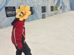 -哈尔滨热雪奇迹