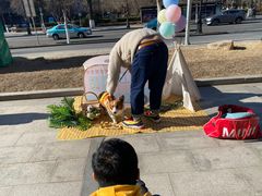 -超宠爱宠物摄影-Super pet