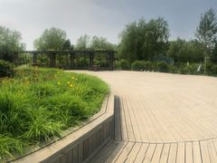 -呼兰河口湿地公园