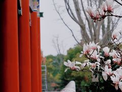 -皇罗禅寺