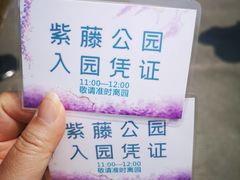 -嘉定紫藤园