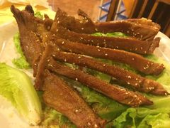 -东山羊庄(八卦岭店)