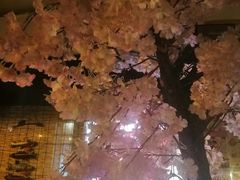 -金龙咖喱