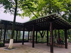 -重庆彩云湖湿地公园