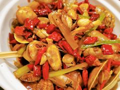 -福苗小骆驼烧烤(大唐不夜城店)