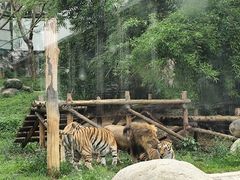 -泉州海丝野生动物世界