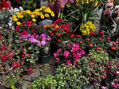 -佛山京华广场MALL