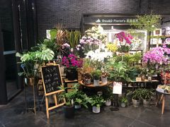 -豆豆花艺(新光天地店)